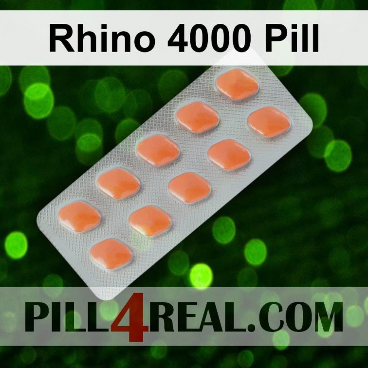Rhino 4000 Pill 060