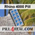 Rhino 4000 Pill 177