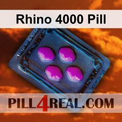 Rhino 4000 Pill 248