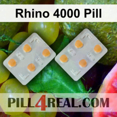 Rhino 4000 Pill 372