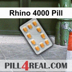 Rhino 4000 Pill 426