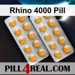 Rhino 4000 Pill 487
