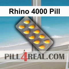 Rhino 4000 Pill 548
