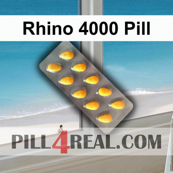 Rhino 4000 Pill 548