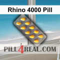 Rhino 4000 Pill 548