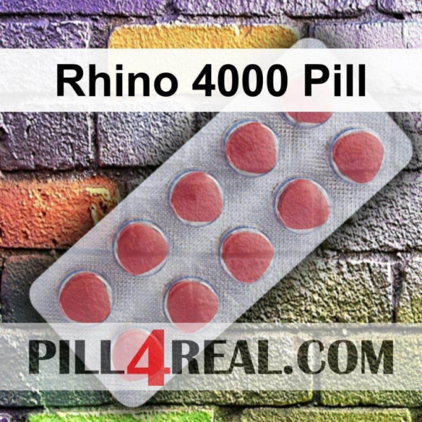 Rhino 4000 Pill 660