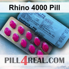 Rhino 4000 Pill 746