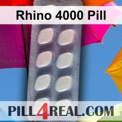 Rhino 4000 Pill 844