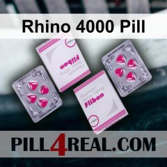 Rhino 4000 Pill 852