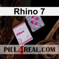Rhino 7 067
