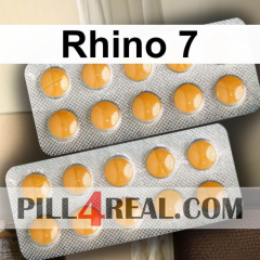 Rhino 7 073