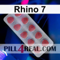 Rhino 7 131