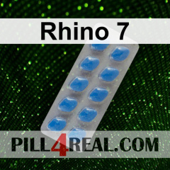 Rhino 7 143