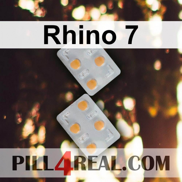 Rhino 7 165