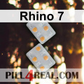 Rhino 7 165