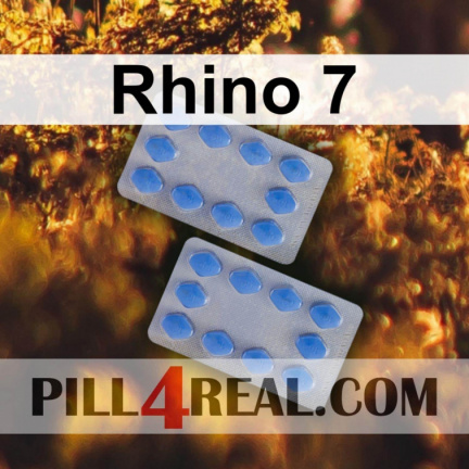 Rhino 7 218