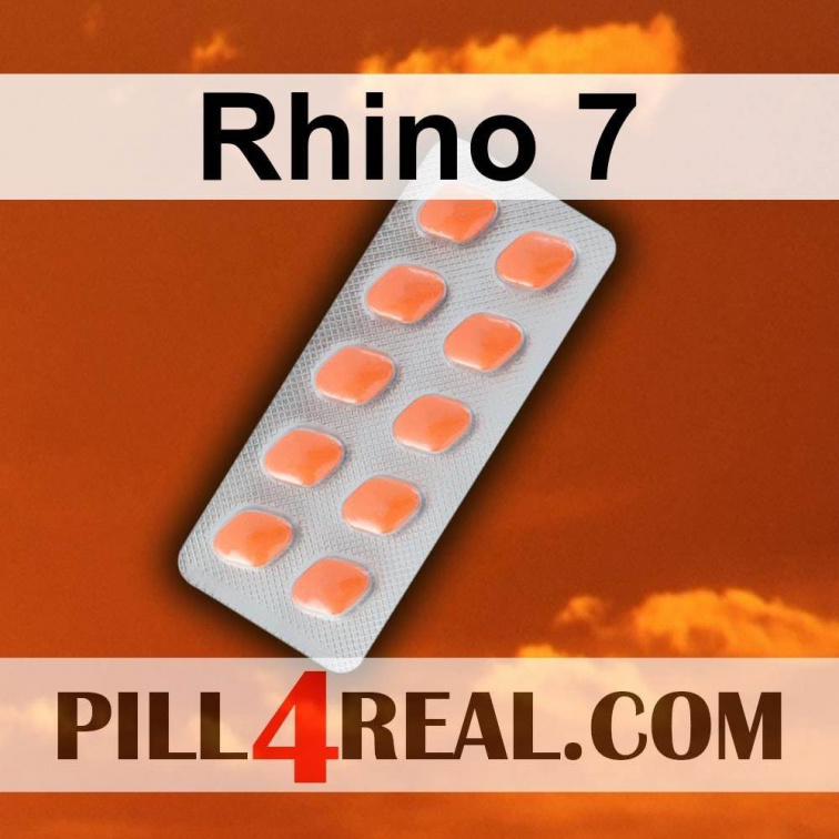 Rhino 7 219