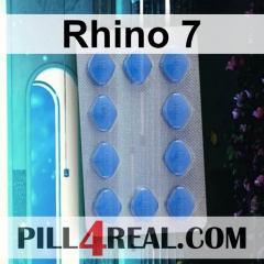 Rhino 7 269