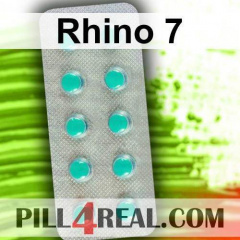 Rhino 7 282