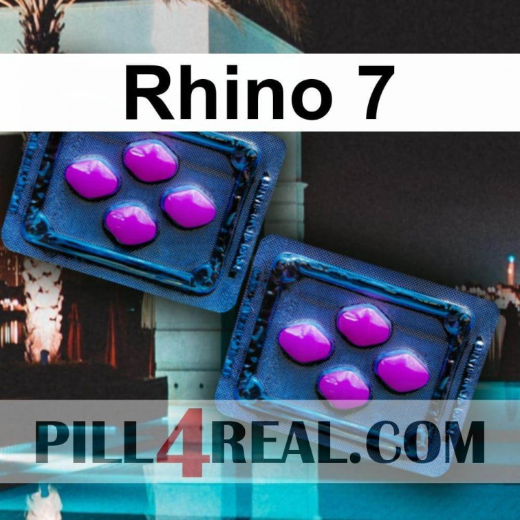 Rhino 7 297