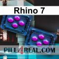 Rhino 7 297