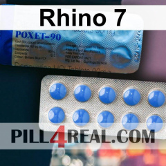 Rhino 7 299
