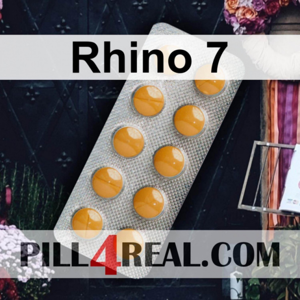 Rhino 7 329