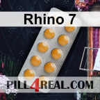 Rhino 7 329