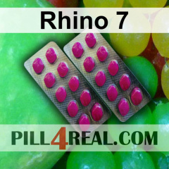 Rhino 7 429