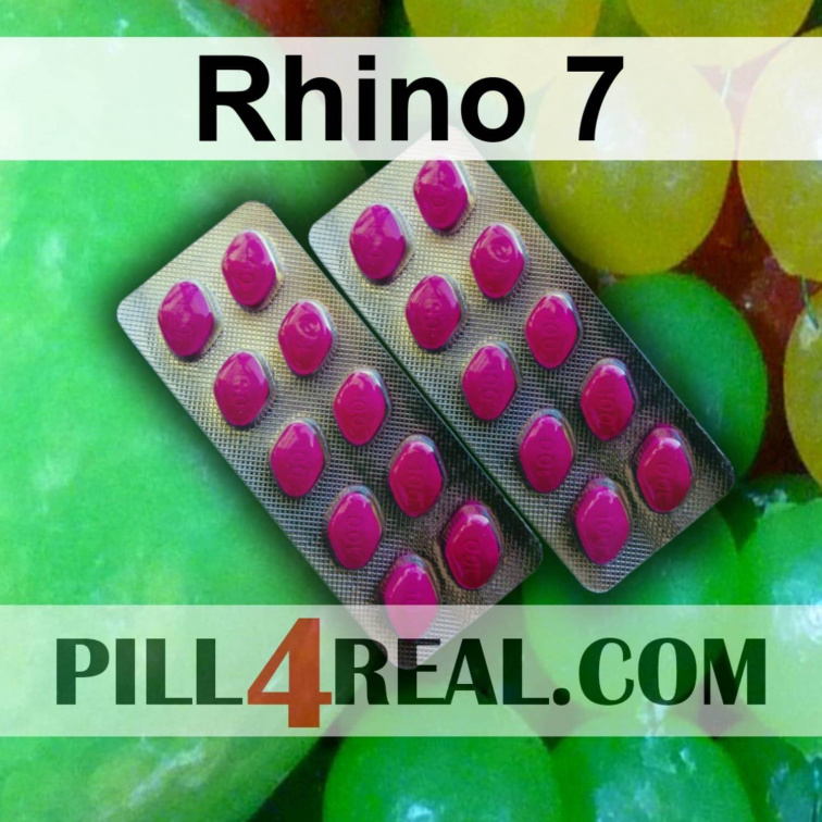 Rhino 7 429
