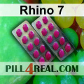 Rhino 7 429