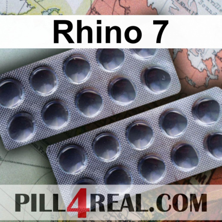 Rhino 7 447