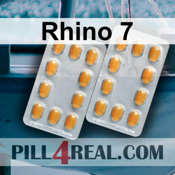 Rhino 7 539