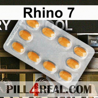 Rhino 7 711