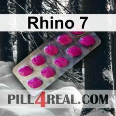 Rhino 7 976