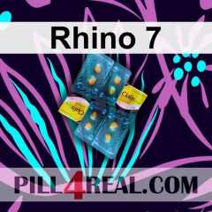 Rhino 7 984