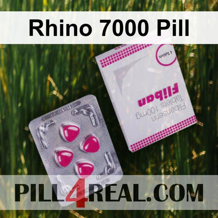Rhino 7000 Pill 373
