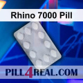 Rhino 7000 Pill 581
