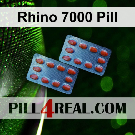 Rhino 7000 Pill 691