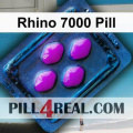 Rhino 7000 Pill 696