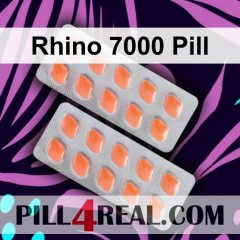 Rhino 7000 Pill 838