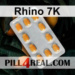 Rhino 7K 069