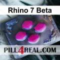 Rhino 7 Beta 054