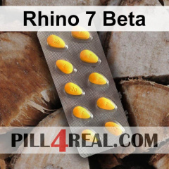 Rhino 7 Beta 058