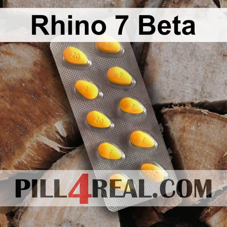 Rhino 7 Beta 058