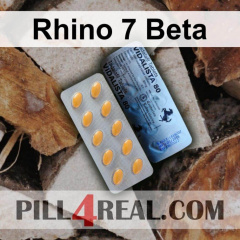 Rhino 7 Beta 089
