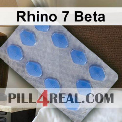 Rhino 7 Beta 138