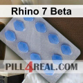 Rhino 7 Beta 138