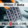 Rhino 7 Beta 157