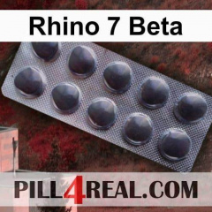 Rhino 7 Beta 282